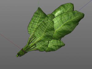 spinach 3D Model