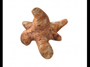 sunchoke Modelo 3D