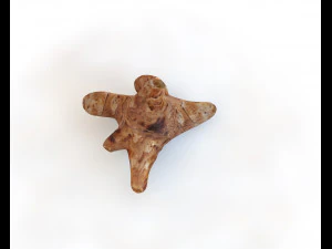 sunchoke 3D Model