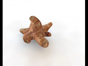 sunchoke 3D Model