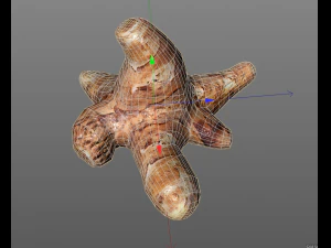 sunchoke 3D Model