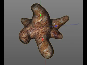 sunchoke 3D Model