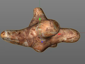 sunchoke 3D Model