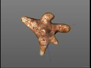 sunchoke 3D Model