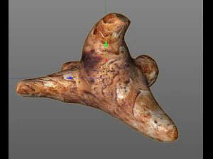 sunchoke 3D Model