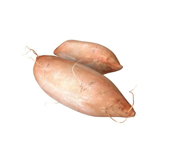sweet potato brown 3D Model .c4d .max .obj .3ds .fbx .stl .blend 