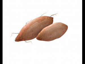 sweet potato brown 3D Model