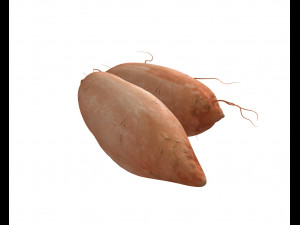 sweet potato brown 3D Model