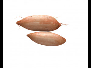sweet potato brown 3D Model