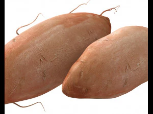 sweet potato brown 3D Model