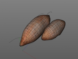 sweet potato brown 3D Model