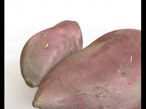 sweet potato purple 3D Model