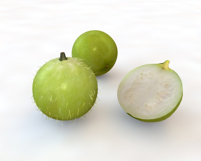 tinda 3D-Modell .c4d .max .obj .3ds .fbx .stl .blend 