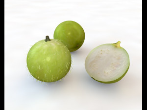 tinda Modelo 3D