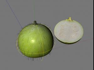 tinda 3D-Modell