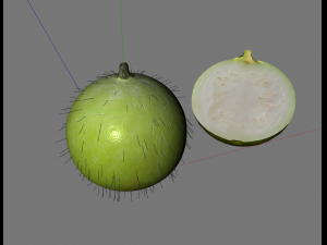tinda 3D-Modell