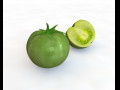 Tomato Green 3D Model