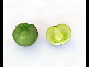 tomato green Modelo 3D