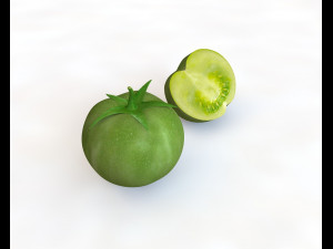 tomato green Modelo 3D