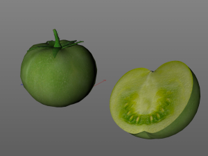 tomato green Modelo 3D