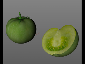 tomato green Modelo 3D