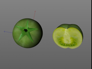 tomato green Modelo 3D
