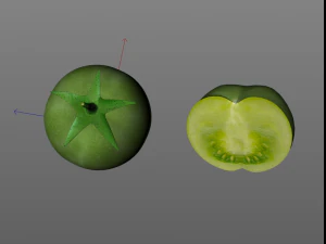 pomodoro verde Modello 3D