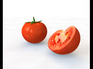 tomato red 3D 模型