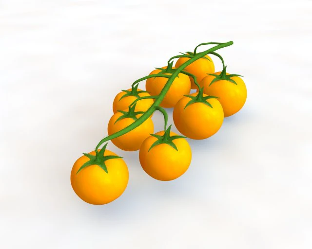 tomato bunch 3D Model .c4d .max .obj .3ds .fbx .stl .blend 