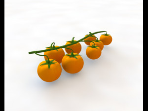 tomato bunch 3D Модель