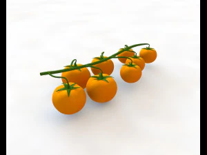 tomato bunch 3D Model