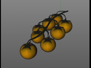 tomato bunch 3D Модель