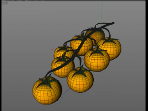 tomato bunch 3D Model