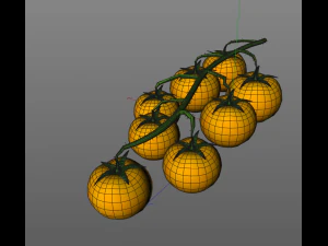 tomato bunch 3D Model