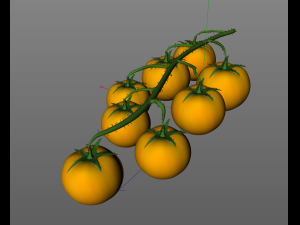 tomato bunch 3D Модель