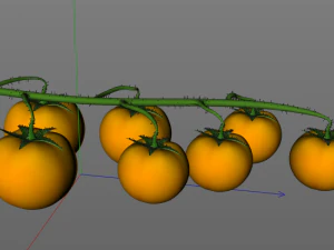 tomato bunch 3D Model