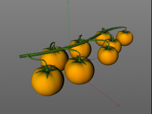 tomato bunch 3D Модель