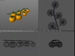tomato bunch 3D Модель