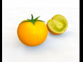 Tomato Yellow 3D Model