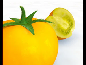 tomato yellow 3D Model