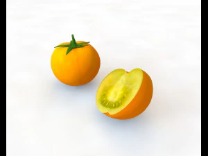 tomato yellow 3D Model
