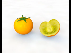 tomato yellow 3D Model