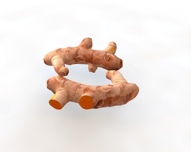 turmeric root Model 3D .c4d .max .obj .3ds .fbx .stl .blend 