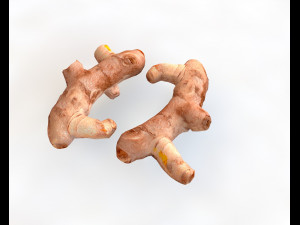 turmeric root Model 3D