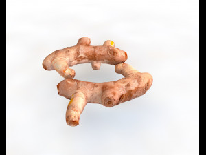 turmeric root Model 3D