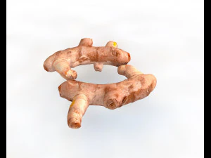 turmeric root 3D Model