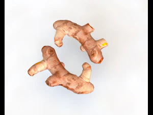turmeric root 3D Model