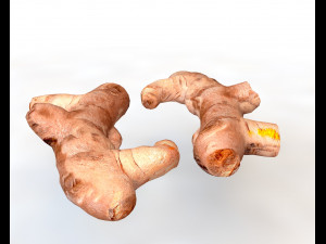 turmeric root Model 3D