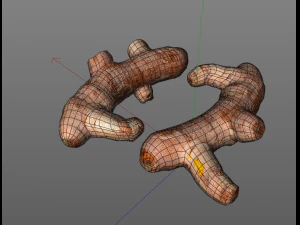 turmeric root 3D Model
