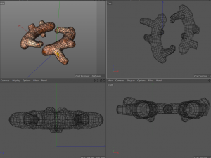 turmeric root Model 3D